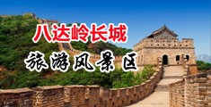 白虎大逼网站中国北京-八达岭长城旅游风景区