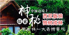 操胖老太太B